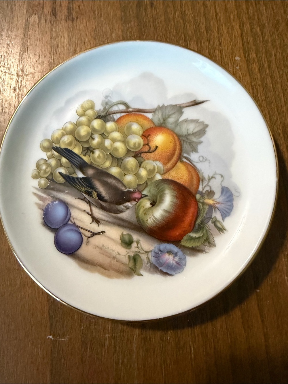 Decorative Fruit & Bird Porcelain Plate - Multicolor vintage. Just under 4 inche